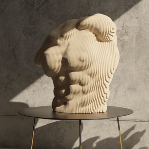 Parametrisch mannelijk torso DXF-BESTAND