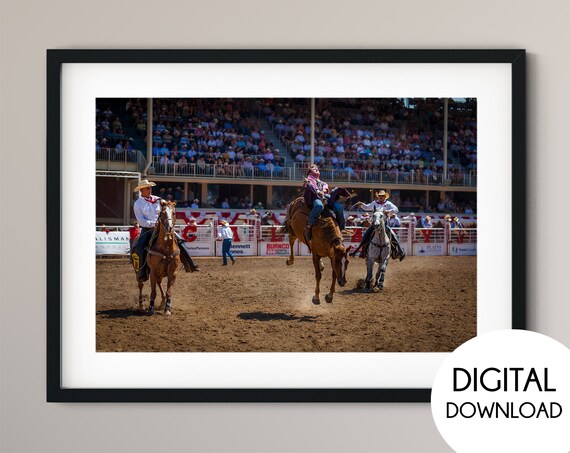 Rodeo Tightly Holding Onto Horse, Calgary Stampede Poster, Rodeo.