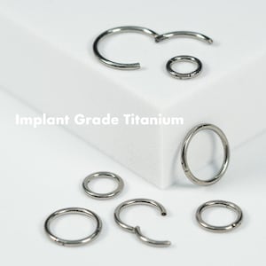 20G 18G 16G 14G Silver Clicker Hoop Earring Septum Ring Nose Cartilage Tragus Helix Daith Piercing Seamless Hinged Implant Grade Titanium