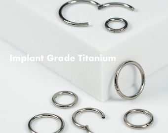 Pendiente de aro con cierre de clic de plata de 20 g, 18 g, 16 g y 14 g, anillo para tabique nasal, cartílago, trago, hélice, Daith, piercing sin costuras, con bisagras, de titanio de grado Implante