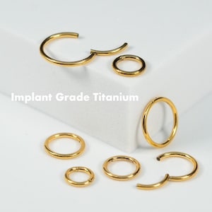 20G 18G 16G 14G Gold Clicker Hoop Earring Septum Ring Nose Cartilage Helix Daith Piercing Seamless Hinged Segment Implant Grade Titanium