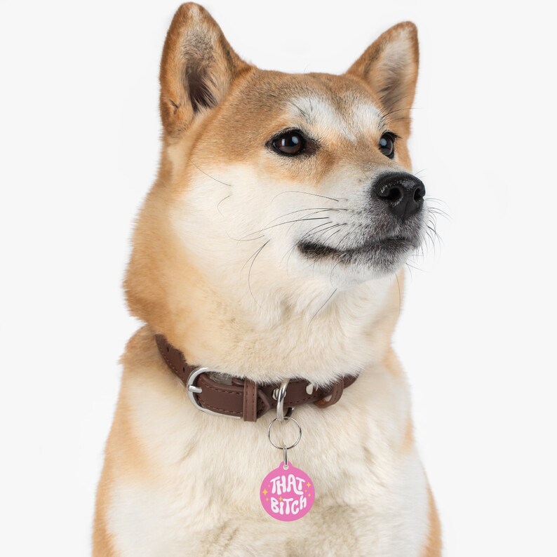 That Bitch - retro hondenpenning, grappig hondenpenning, gepersonaliseerde PET-ID-tags, schattig huisdierpenning afbeelding 6