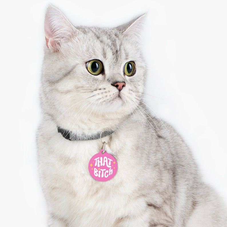 That Bitch - retro hondenpenning, grappig hondenpenning, gepersonaliseerde PET-ID-tags, schattig huisdierpenning afbeelding 7