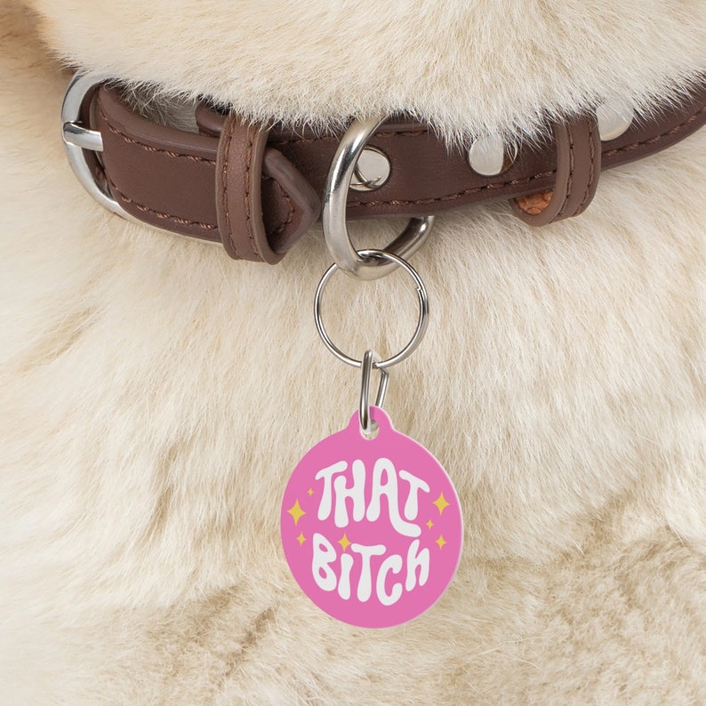 Op de afbeelding: Ronde roze hondenhanger met de tekst "THAT BITCH" in witte letters met gouden glitteraccenten. De hanger is bevestigd aan een zilveren ketting en een bruine leren hondenriem.