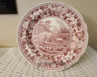 Spode Georgian Pink Archive Dinner Plates Set of 6 - Etsy
