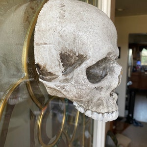 Aged Skull Front