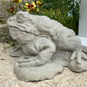 Large concrete toad