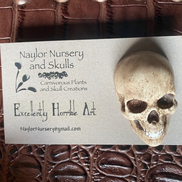 Large Skull pin with jaw