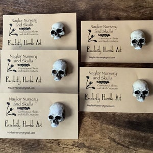 Small skull pins