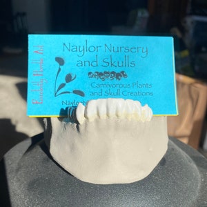 Jaw Business Card Holder