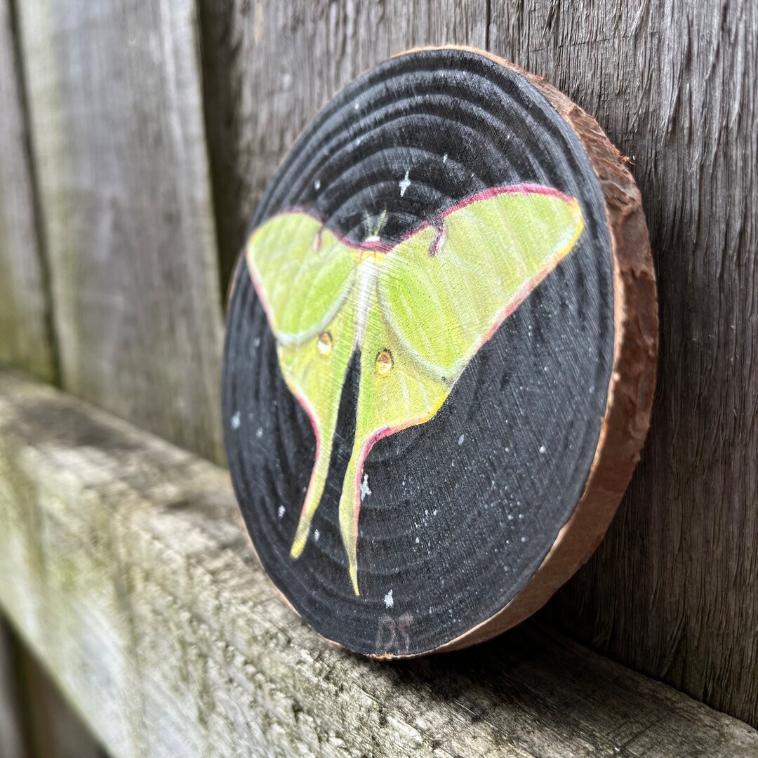 Luna Moth Painting on Wood Handmade, Unique Gift Idea, Rustic Home ...