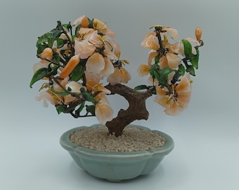 Chinese Jade Cherry Blossom Bonsai Tree