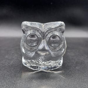 May include: A clear glass owl ornament with large, round eyes and a textured surface. The owl has a detailed face and a slightly rough base. The figurine is a decorative item, likely for display.