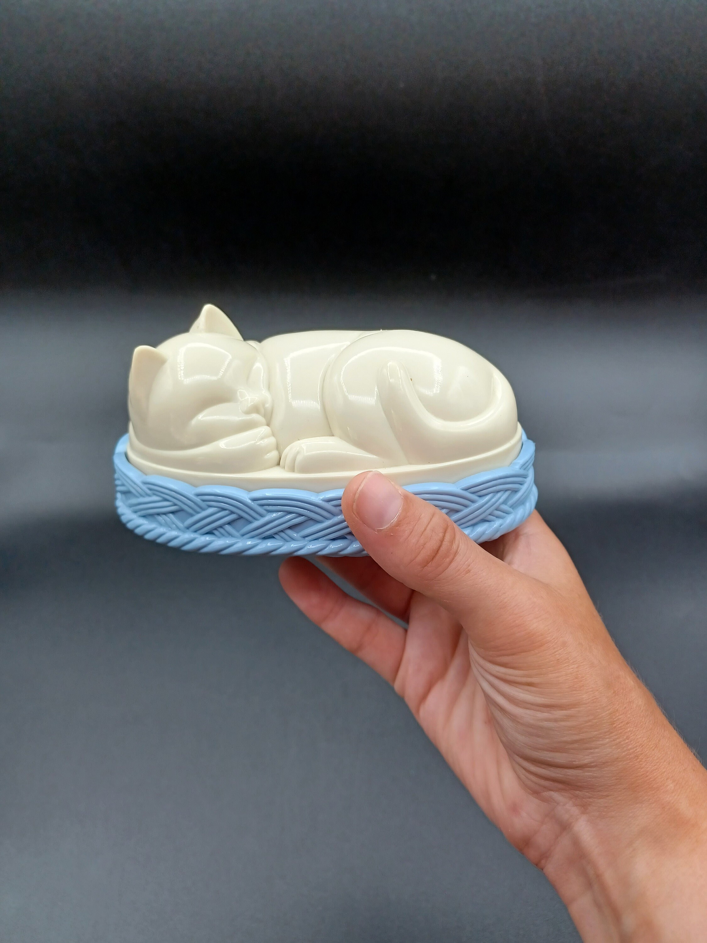 Avon Lucite Sleeping Cat Lint Brush Etsy