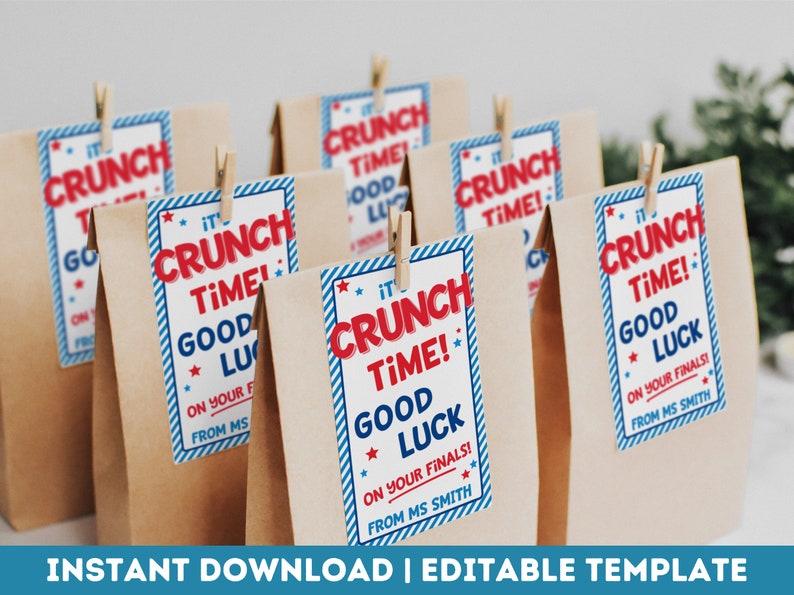 Good Luck Tags Printable Crunch Time Candy Favor Test Encouragement Gift Tags College Finals Week Editable Instant Download image 2