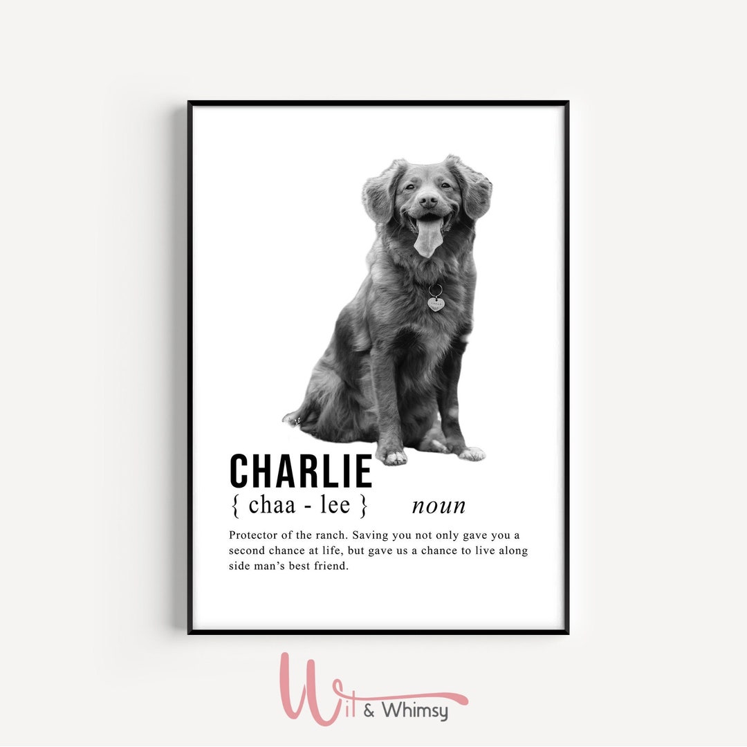 Pet Definition , Pet Definition Print , Custom Pet Wall Art ...