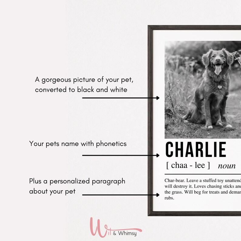 Pet Definition Pet Definition Print Custom Pet Wall Art Etsy
