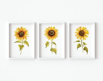 Sunflower Poster, Sunflower Print, Sunflower Art, Botanical Prints, Set of Three, Home Decor, Floral Nursery Decor, Floral Art,Digital Print