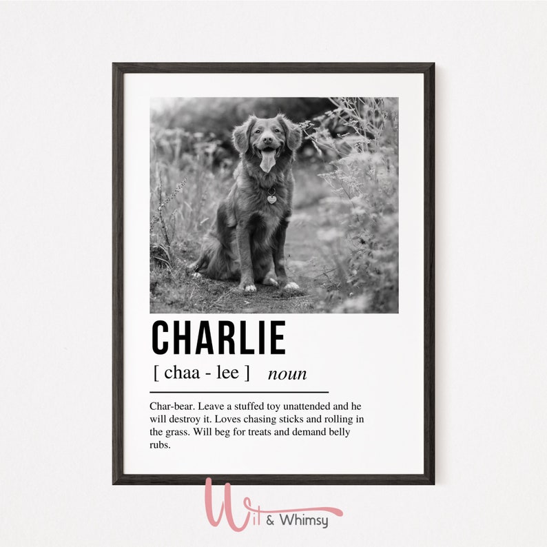 Pet Definition Pet Definition Print Custom Pet Wall Art Etsy