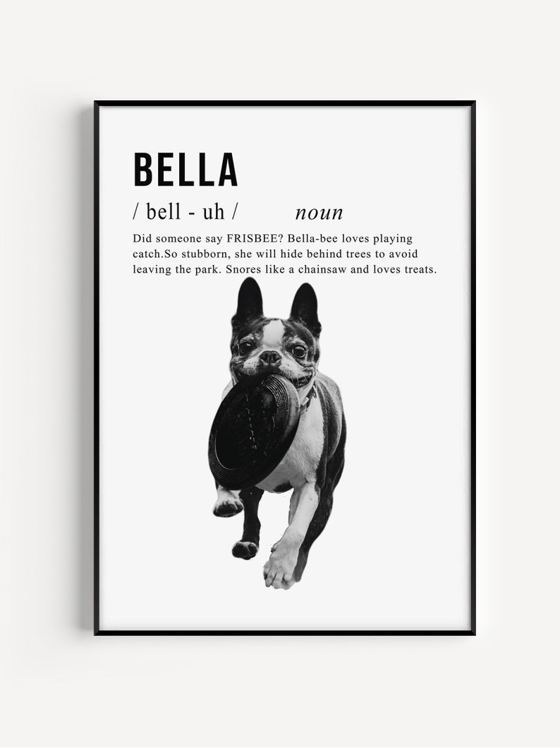 Pet Definition Pet Definition Print Custom Pet Wall Art Etsy