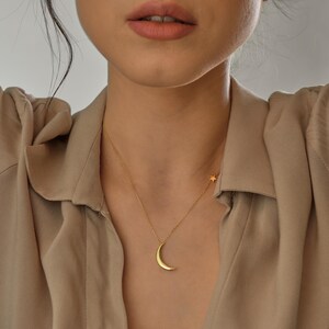 Pu&ograve; includere: Una collana d'oro con un ciondolo a forma di luna crescente e un piccolo ciondolo a forma di stella.