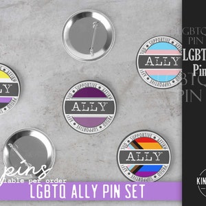 Ally runda nålset för lärare, HBTQ Ally-nålar, set om 4, Trans Ally-nål, Homosexuella rättigheter, Transrättigheter, Transflagganål