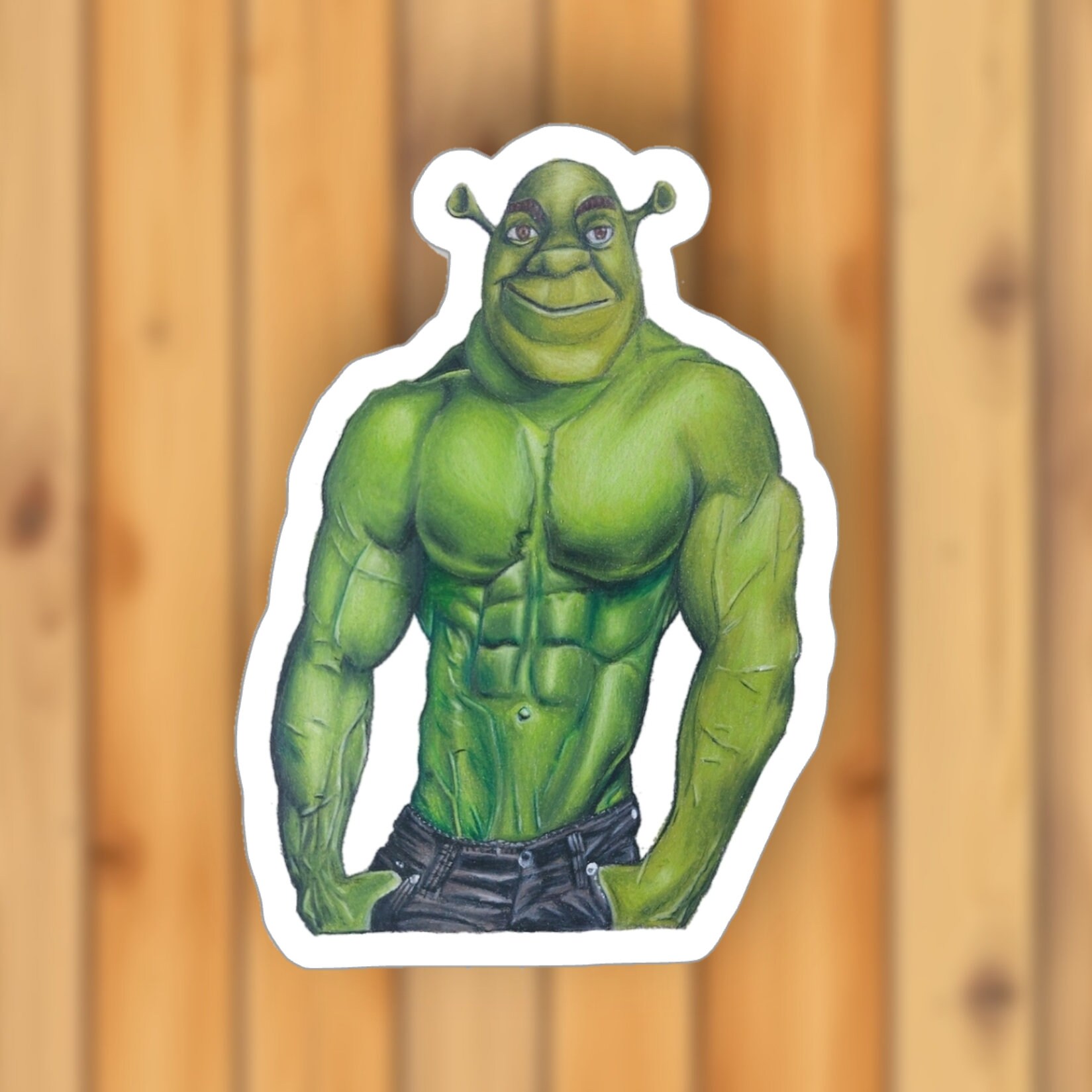 Confused Shrek sticker | Magnet