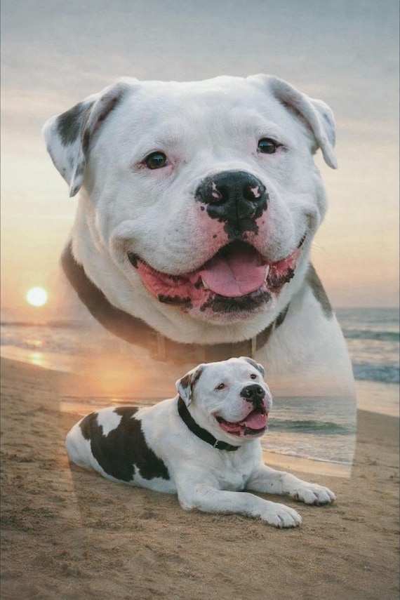 Digital Pet Portrait, Custom Pet Portrait, Pet Portrait From Photo, Dog Portrait, Custom Dog Portrait, Cat Portrait, Cat Mom, Pet memorial