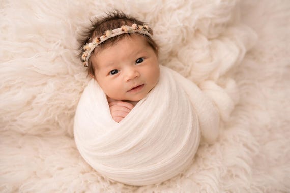 Heirloom |Preset Collection | Photo Shop and Lightroom Presets for Everyday Photos on Your Phone