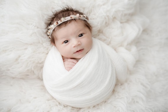 Heirloom |Preset Collection | Photo Shop and Lightroom Presets for Everyday Photos on Your Phone