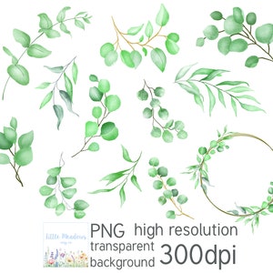 Watercolour Eucalyptus Leaves PNG SVG Greenery Images Clipart Illustration 300dpi Download Digital Scrapbooking Boho Botanical Clip Art