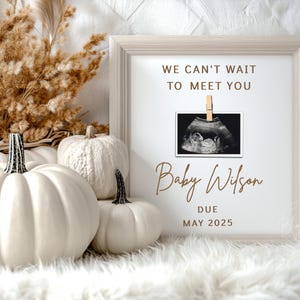 Fall Pumpkin Pregnancy Announcement: Minimalist Social Media (Digital)
