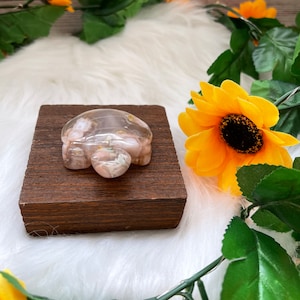 Flower Agate Turtle Carving/ Flower Agate Turtle