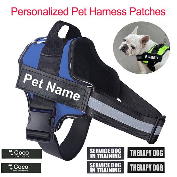 Julius k9 labels personalized uk