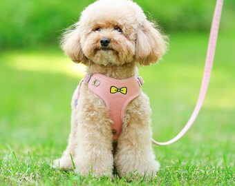 Personalisiertes Hundegeschirr mit Namensschildern, kein Ziehen, Welpenweste, Geschirr und Leine, Set, reflektierend, verstellbare Step-in-Jacke, Gehgeschirr, Geschenke