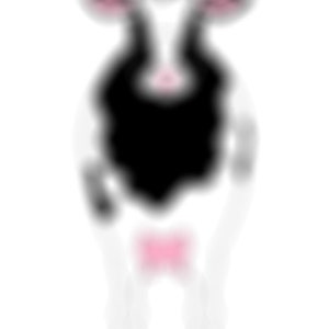 May include: A black and white cartoon cow with pink ears and a pink udder. The cow is standing on a white background.