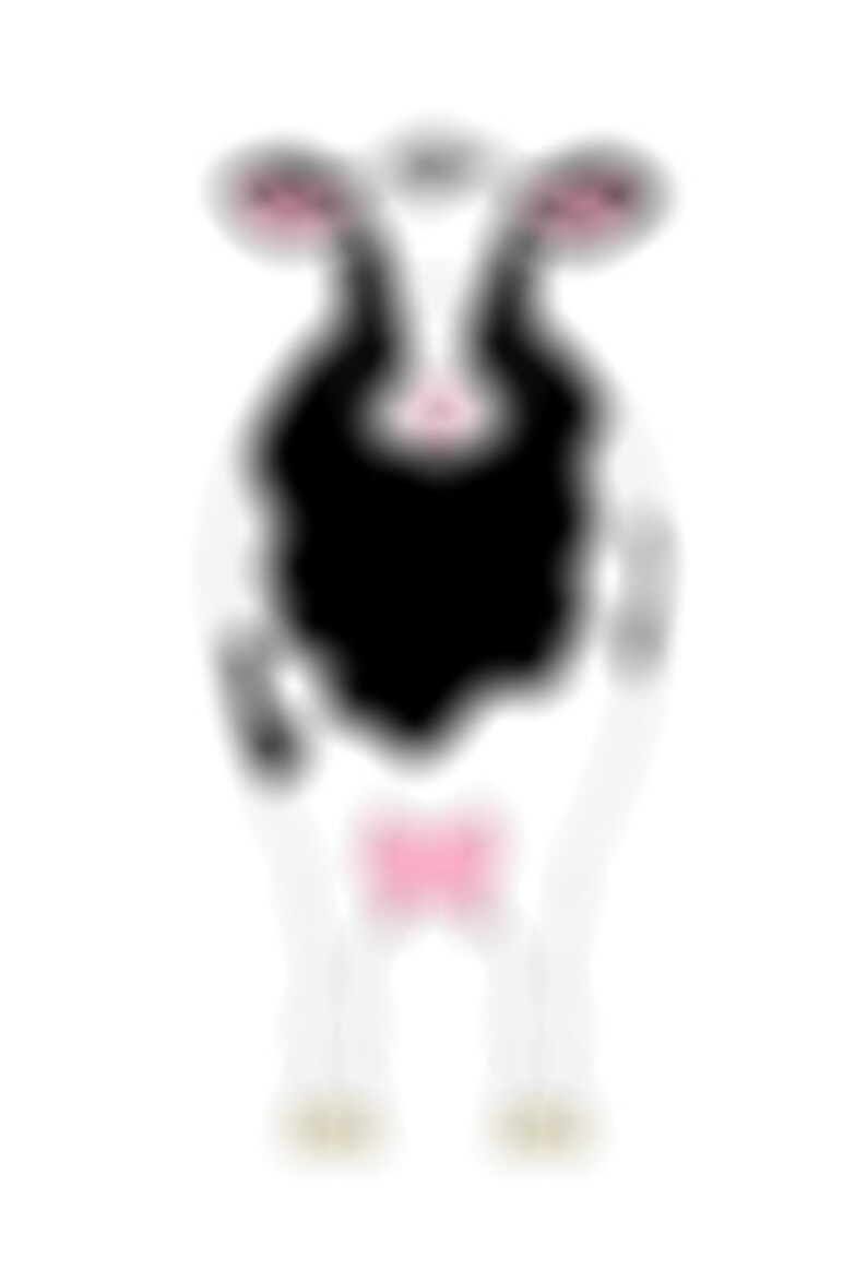 May include: A black and white cartoon cow with pink ears and a pink udder. The cow is standing on a white background.