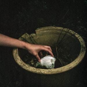 Hand and Shell - Fine Art Print