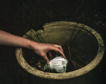 Hand and Shell - Fine Art Print