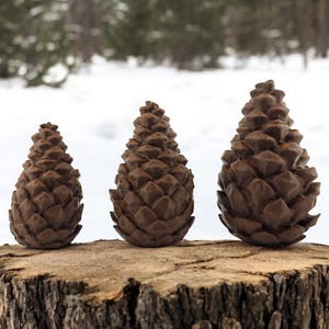 Large Standing Pinecone Geocache | Cache Stash Container | Hide A Key Outside | with Log