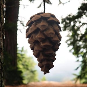 May include: A large, brown pine cone hangs from a tree branch. The cone is made of many overlapping scales and has a rough, textured surface.