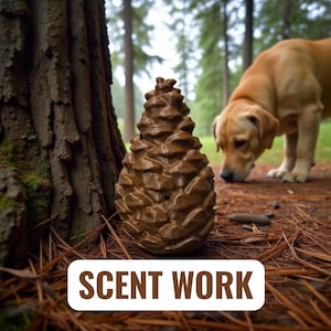 Scentwork Pinecone - Large Hanging or Standing | Dog Canine Nosework Training