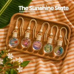 Sunshine State Car Diffuser Bundle | Florida Inspired Air Freshener Set | Citrus, Coastal & Tropical Handmade Car Scents | Florida Gift