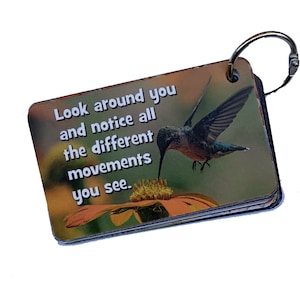 May include: A small, colorful card with a hummingbird hovering over a flower. The card has the text "Look around you and notice all the different movements you see."