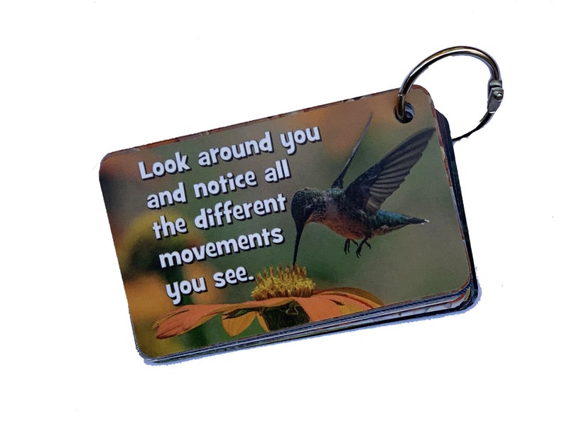 May include: A small, colorful card with a hummingbird hovering over a flower. The card has the text "Look around you and notice all the different movements you see."