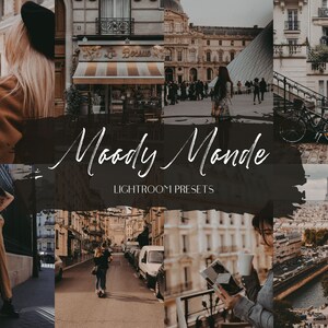 Lightroom Presets Moody Monde Theme, 5 DNG Lightroom Presets, Dark and Moody Presets, Portrait Presets, Dark Presets, Moody Presets