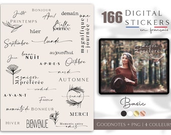 Stickers basics en français, pour agenda digital, story Instagram - 166 autocollants digitaux en français - Stickers pour agenda Goodnotes