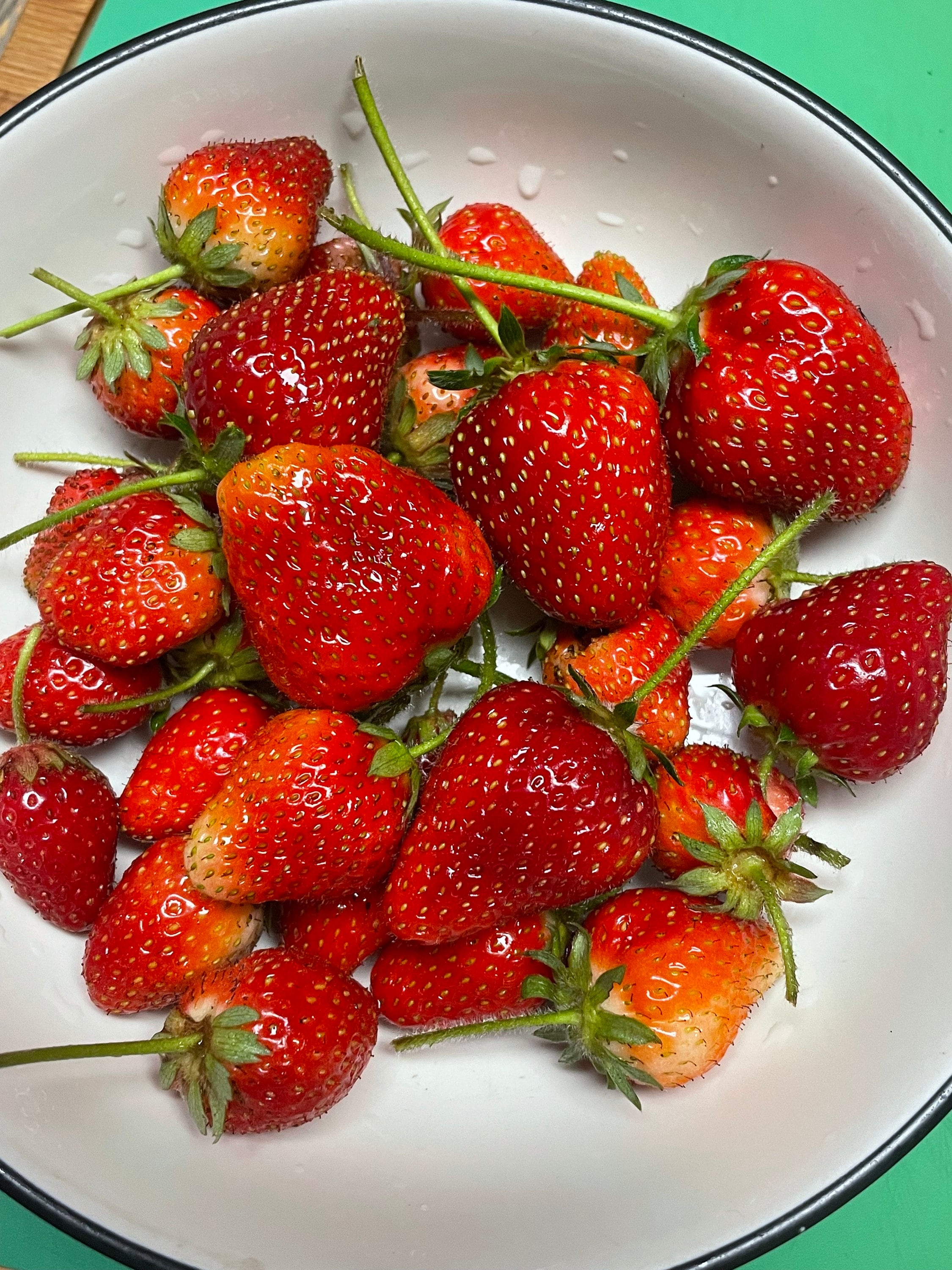 Florida Brilliance Strawberry Plants for Sale: Top Quality Picks 2 Florida Brilliance Strawberry Plants for Sale: Top Quality Picks