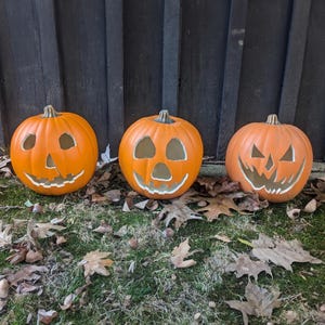 May include: Three orange Halloween pumpkins with carved faces sit on grass covered with fallen leaves. Each pumpkin has a different expression, with cut-out eyes and mouths. The pumpkins are a festive decoration for the fall season.