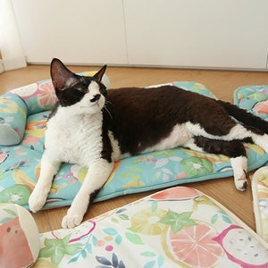 Cat cooling mat - .de